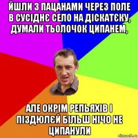 йшли з пацанами через поле в сусіднє село на діскатєку, думали тьолочок ципанем, але окрім репьяхів і піздюлєй більш нічо не ципанули