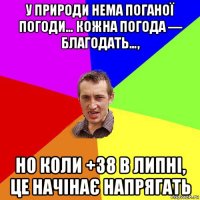 у природи нема поганої погоди… кожна погода — благодать…, но коли +38 в липні, це начінає напрягать