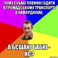 чому собакі повинні їздити в громадському транспорті в намордніках, а бєшані бабкі - нє?