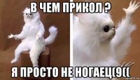 в чем прикол ? я просто не ногаец(9((