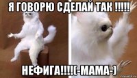 я говорю сделай так !!!!! нефига!!!!(-мама-)