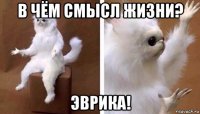 в чём смысл жизни? эврика!