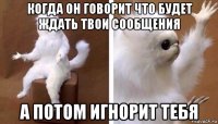 когда он говорит что будет ждать твои сообщения а потом игнорит тебя