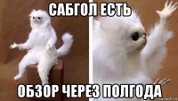 сабгол есть обзор через полгода