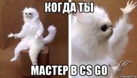 когда ты мастер в cs go