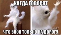 когда говорят что 5000 только на дорогу