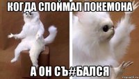 когда споймал покемона а он съ#бался