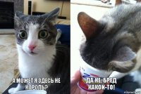 а может я здесь не король? да не, бред какой-то!