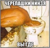 черепашки нинзя вы где