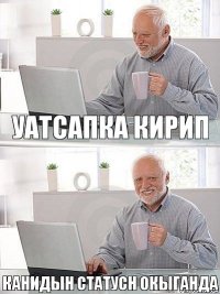 уатсапка кирип Канидын статусн окыганда