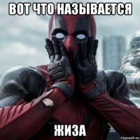 вот что называется жиза