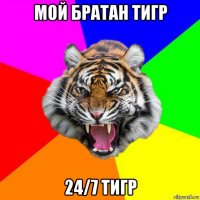 мой братан тигр 24/7 тигр