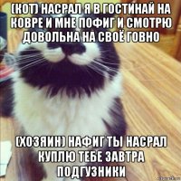 (кот) насрал я в гостинай на ковре и мне пофиг и смотрю довольна на своё говно (хозяин) нафиг ты насрал куплю тебе завтра подгузники