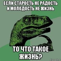 если старость не радость и молодость не жизнь то что такое жизнь?