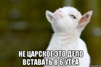  не царское это дело вставать в 6 утра