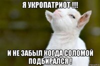 я укропатриот !!! и не забыл когда соломой подбирался !