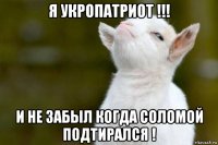 я укропатриот !!! и не забыл когда соломой подтирался !