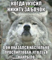 когда укусил никиту за бочок а он оказался настолько проспиртован, что тебя накрыло