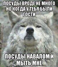 посуды вроде не много но когда у тебя были гости посуды навалом и мыть мне