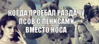 когда проебал раздачу псов с пенисами вместо носа