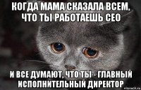 когда мама сказала всем, что ты работаешь сео и все думают, что ты - главный исполнительный директор