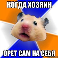 когда хозяин орет сам на себя