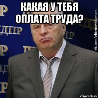 какая у тебя оплата труда? 