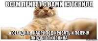 всем привет с вами кэтсвилл и сегодня я насру под кровать и получу пизды от хозяина