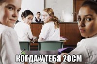  когда у тебя 20см