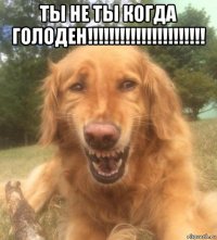 ты не ты когда голоден!!!!!!!!!!!!!!!!!!!!!! 