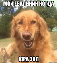 мой ебальник когда юра зол