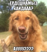 ердешкамыз қайдааа? ауууу????