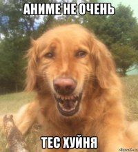 аниме не очень тес хуйня