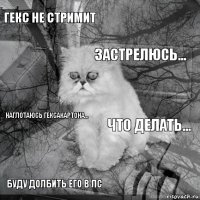 Гекс не стримит что делать... застрелюсь... буду долбить его в лс наглотаюсь гексакартона...     