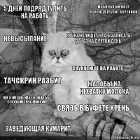 5 дней подряд тулить на работу жалобы на нехватку молока ручка непишет что б записать заказ на другой день заведующая кумарит тачскрин разбит мобильный инэт полгода грузит картинки связь в буфете хрень невысыпание уже б месяц, как ходила бы с новым тачскрином скукотище на работе