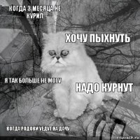 когда 3 месяца не курил надо курнут хочу пыхнуть когда родоки уедут на дачу я так больше не могу     