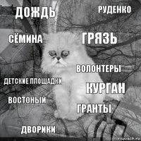 Дождь Курган Грязь ДВОРИКИ ДЕТСКИЕ ПЛОЩАДКИ РУДЕНКО ГРАНТЫ Сёмина Востоный ВОЛОНТЕРЫ