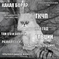 Какая Боря? Ельцин ГКЧП Горбачев отдыхал на Фаросе Там его и заперли ГКЧП взяло власть в свои руки Поддержать Ельцина Потом Ельцин обстрелял Белый дом из танка Развал СССР 1991 год