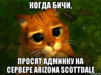 когда бичи, просят админку на сервере arizona scottdale