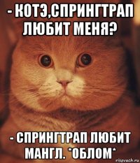 - котэ,спрингтрап любит меня? - спрингтрап любит мангл. *облом*