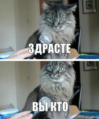 здрасте ВЫ КТО