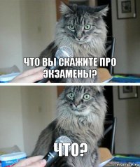 Что вы скажите про экзамены? Что?