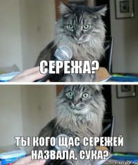 сережа? ты кого щас сережей назвала, сука?