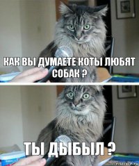 КАК ВЫ ДУМАЕТЕ КОТЫ ЛЮБЯТ СОБАК ? ТЫ ДЫБЫЛ ?