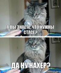 А вы знаете, что нужны Стасе? Да ну нахер?