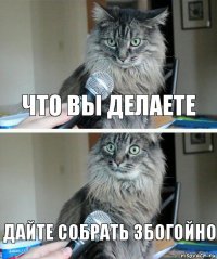 Что вы делаете Дайте собрать збогойно