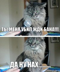 Ты меня убил жди бана!!! да ну нах.........