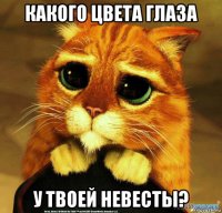 какого цвета глаза у твоей невесты?