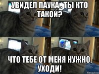 увидел паука . ты кто такой? что тебе от меня нужно, уходи!