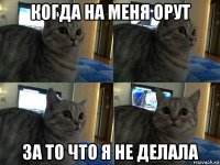 когда на меня орут за то что я не делала